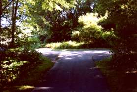 Turn right at the next wide trail intersection.