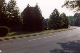 Turn right to follow the asphalt path after crossing Lake Newport Rd.