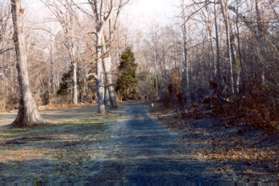 The walk starts on the trail at Lake Fairfax Park next to the maintenance facility.