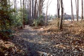 The houses appearing on the right are on a private driveway off Hunter Mill Rd.