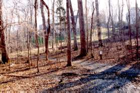 The trail continues through the woods with homes on the right.