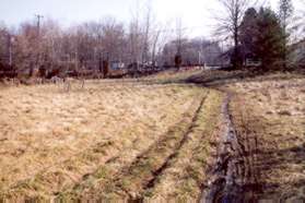 The trail passes through a mowed field here.