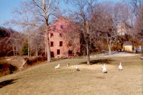 Upon reaching the mill retrace your steps to return to the start of the walk.