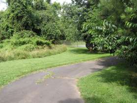 After passing between the houses the trail turns right to follow behind the houses.  A tennis court will be seen on the left.