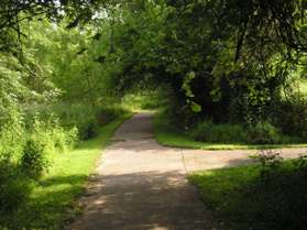 A side trail intersects from the right.  Continue straight on the present trail.