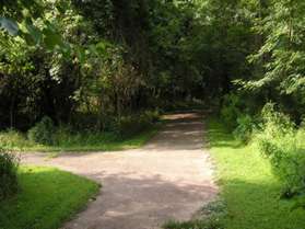 A side trail intersects from the left.  Continue straight on the present trail.