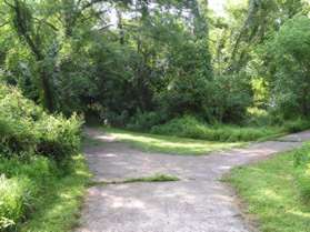 Turn right on the next intersecting trail.