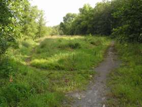 After a few feet a trail branches to the left.  Go straight on the present trail away from Browns Mill Road.