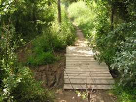 The bridge carries the trail over a mud hole.
