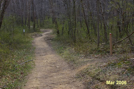 Turn right at the Cross County Trail marker 90 feet after the gravel portion of the path ends.
