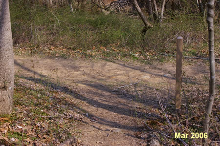 The trail rejoins the horse trail. Turn left here.