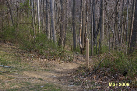 The trail emerges at a street. Rejoin the trail along the private driveway.