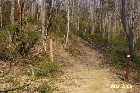 Take the path to the left up the hill at the Cross County Trail marker.