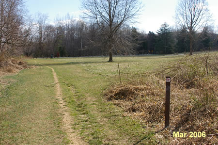 The trail emerges from the woods into a meadow.