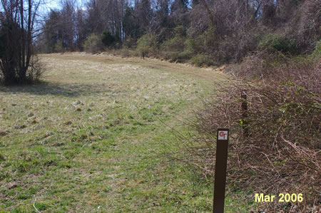 Turn right at the meadow and follow the trail along the outside of the meadow.