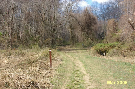 The trail leaves the meadow and heads into the woods.