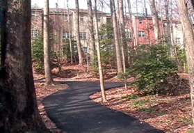 Turn right at the next trail intersection so that the stream remains on your right and houses on your left.