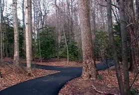 At the next trail intersection turn left to follow the wide asphalt trail up the hill.