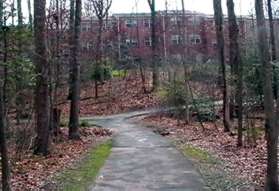 Turn right at the next wide asphalt trail intersection.  Continue on this trail past the narrow asphalt trail going up the hill on the left.