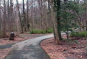 Several asphalt trails intersect from the left.  Stay to the right on the present wide asphalt trail.