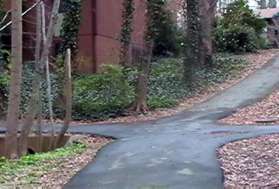 Turn left at the first asphalt trail intersection after crossing Snakeden Branch.