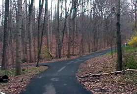 A trail intersects from a tunnel on the left.  Continue straight on the present trail.