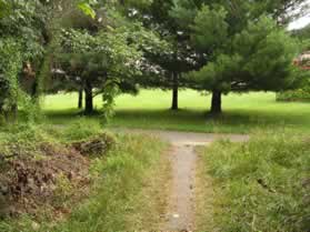 The trail ends at an asphalt trail.  The CCT goes left here.  Turn right to go to the end of this walk.