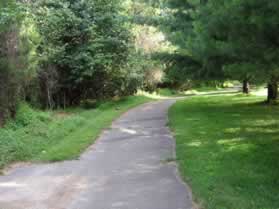 Turn left at the first trail intersection to join the CCT towards the W&OD Trail.