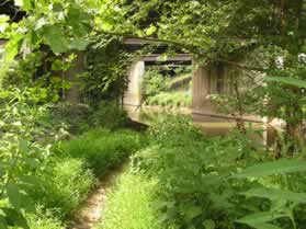 The trail joins Difficult Run and passes under the Dulles Highways.