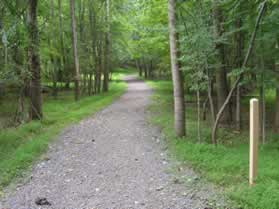 Take the wide gravel trail towards Difficult Run.