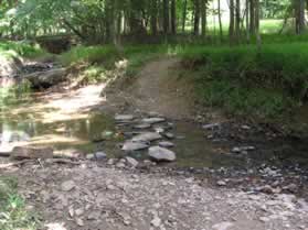 The trail crosses the stream on the rocks.
