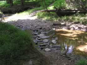 The trail crosses a side stream on rocks.