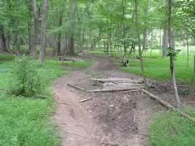 Bicyclists have placed logs in a muddy section of the trail.