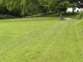 The trail follows the edge of the park until crossing a bridge.  Turn left at the intersecting trail on the other side of the bridge.