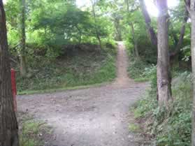 The walk ends at the intersecting W&OD trail. 