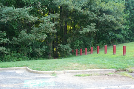 The walk starts on the path at the end of the access road for Jim Crabtree Park next to the soccer field. Take the trail to the right just after entering the woods.