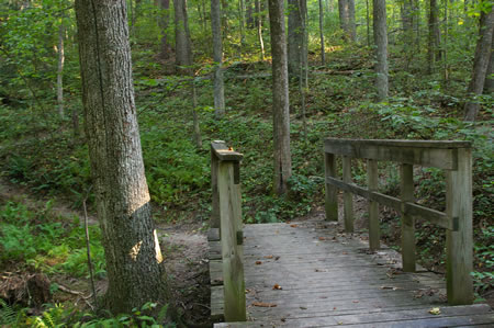 After crossing the bridge take the trail to the right that follows the stream.