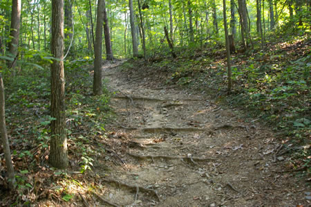 The trail climbs a hill.