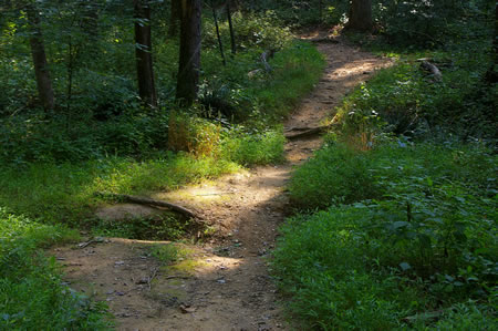 The trail passes through a dry creek bed.