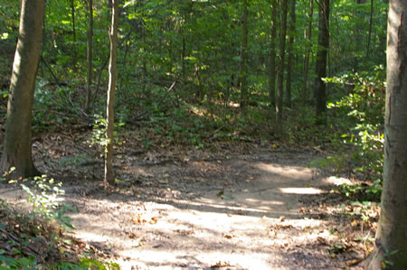 A trail intersects from the left. Continue straight on the present trail.