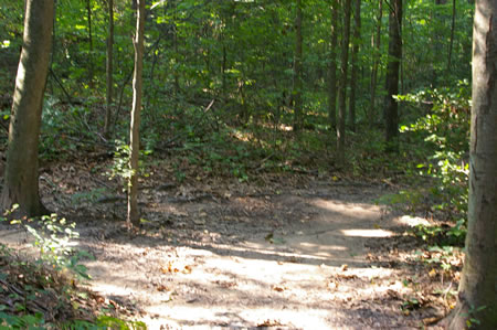 A trail intersects from the left. Continue straight on the present trail.