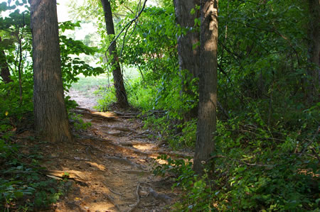 The trail leads out of the woods back to the parking area.