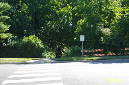 The walk starts on the northern side of East St. at Ayr Hill Av.