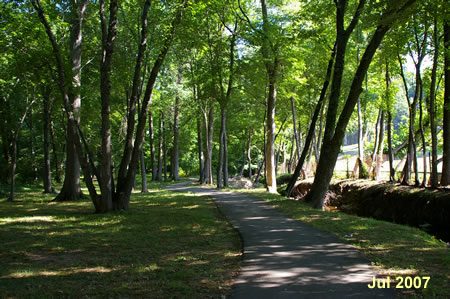 The path stays under the trees with homes on the left and a creek on the right.