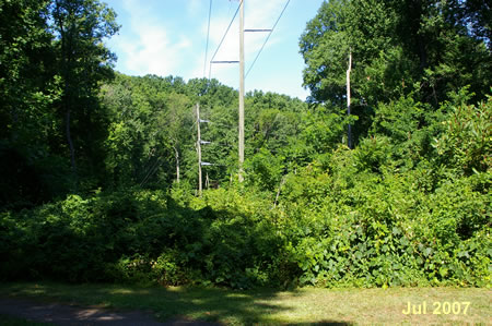 High tension power lines cross the trail and parallel the path for a short distance.