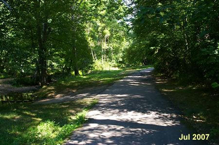 A trail intersects from the left. Go straight on the current trail.