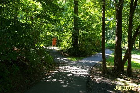 Turn left at the next trail intersection and follow it up the hill.