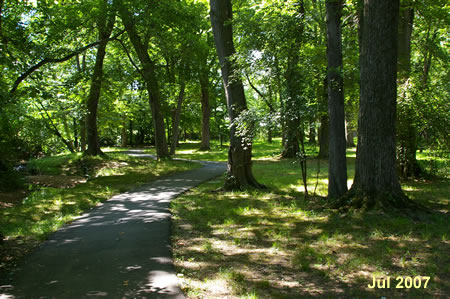 The path turns left and follows the creek through the trees.