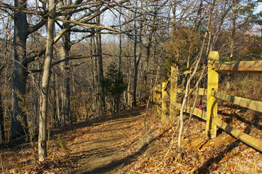 Giles Run Meadow Trail.