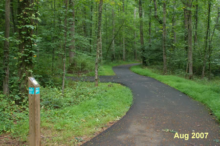 A paved path intersects from the left.  Continue straight on the current path.